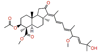 Globostellatic acid B methyl ester